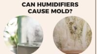 can humidifiers cause mold