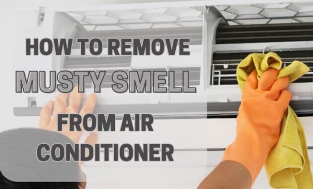 how to remove musty smell from air conditioner