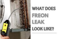 what does a freon leak look like