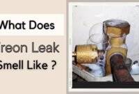 what does a freon leak smell like