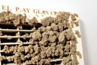 how-to-clean-mold-from-air-conditioner-vents how to clean mold from air conditioner vents